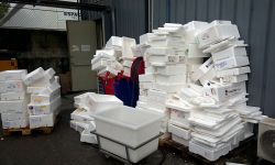 Life cycle of EPS - EPS foam recycling