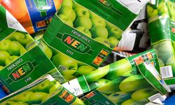 Entleerte Tetra-Pak vor dem Verdichten im Schneckenverdichter