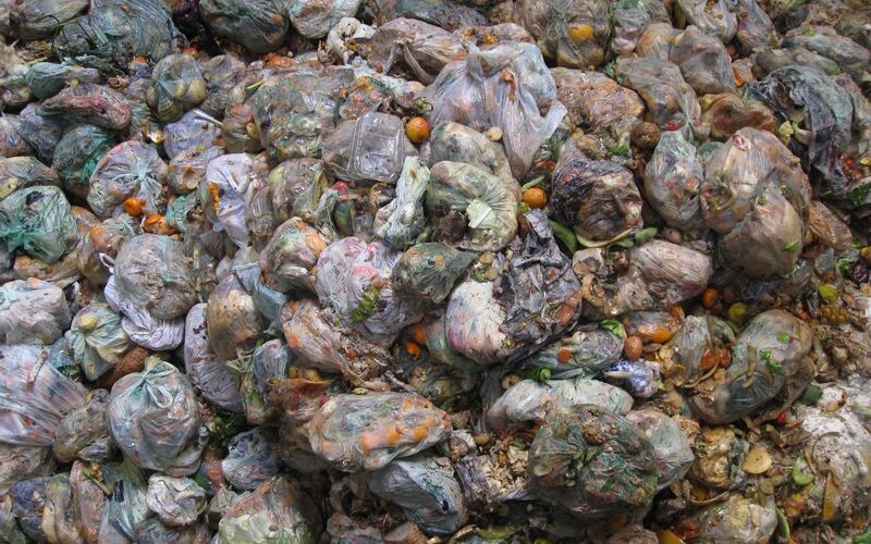 Separation of food rejects