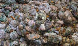 Rejekte  von der Lebensmittelindustrie vor den Trennung und Entwässerung