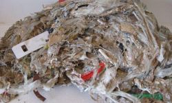 Rejekte von entwässerten  Kunststoffwaschlinie im RUNI-Schneckenverdichter