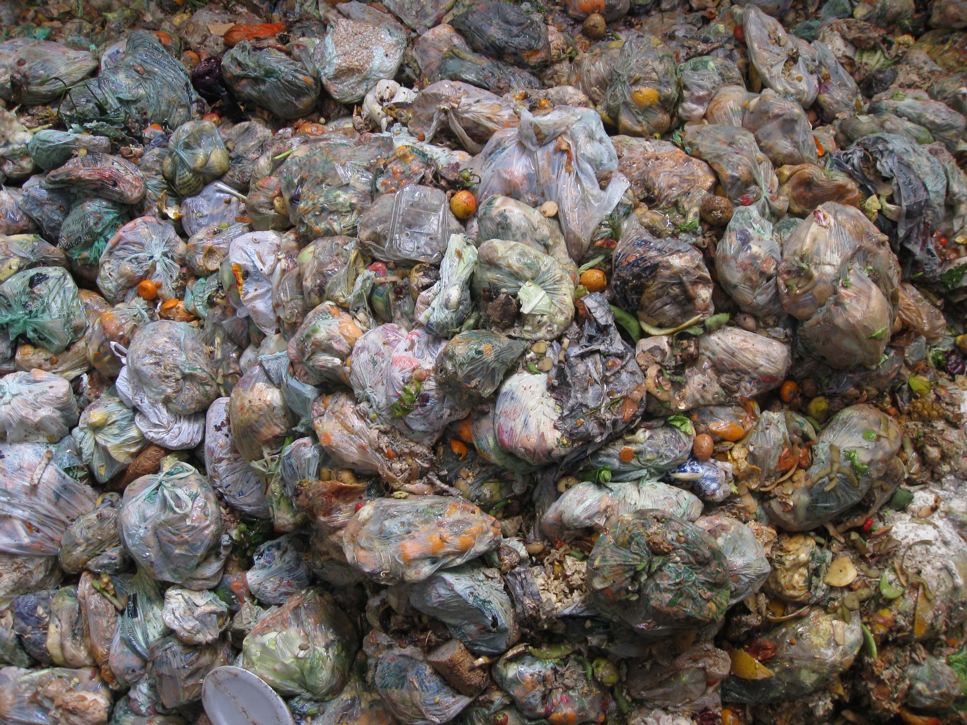 Rejekte  von der Lebensmittelindustrie vor den Trennung und Entwässerung